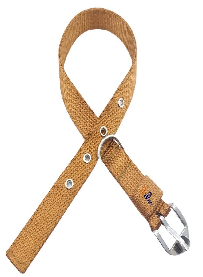 Pups&Pets طقم حزام للكلاب من Pups&Pets يتضمن طوق نايلون مقاس 1 بوصة مع سلسلة متينة للكلاب بطول 63 بوصة (ذهبي) - Image 4